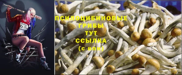 бутират Алексеевка