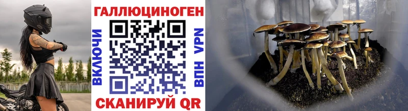 Галлюциногенные грибы GOLDEN TEACHER  хочу   ОМГ ОМГ ссылки  Медынь 